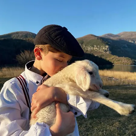 Agora ゲストハウス