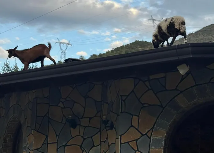 Agora בית הארחה