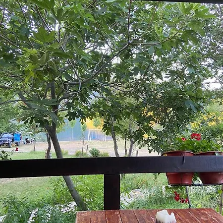 בית הארחה Agora