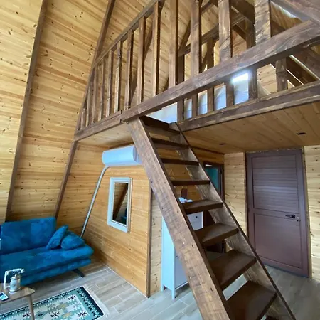 בית הארחה Agora 4*