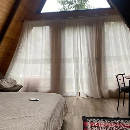 Guest house Agora *