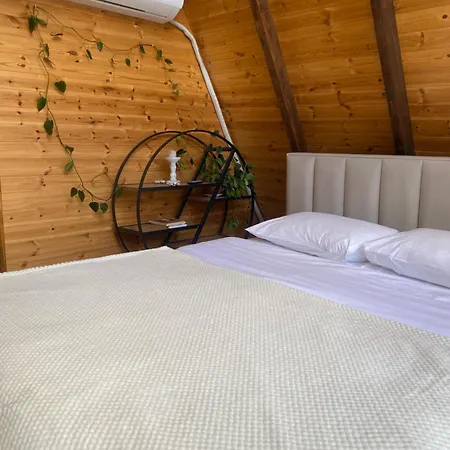 Guest house Agora