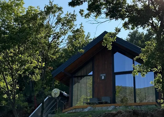 Agora Konukevi