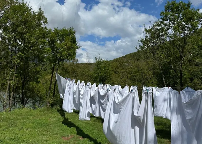 Πανσιόν Agora